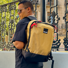 Load image into Gallery viewer, DAYPAK #2 ARENA